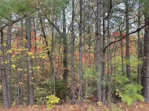 125 Spring Lake Trl, White, GA 30184