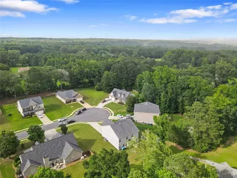 View/Area - 140 Canyons Ct, Hampton, GA 30228 photo 3 of 5