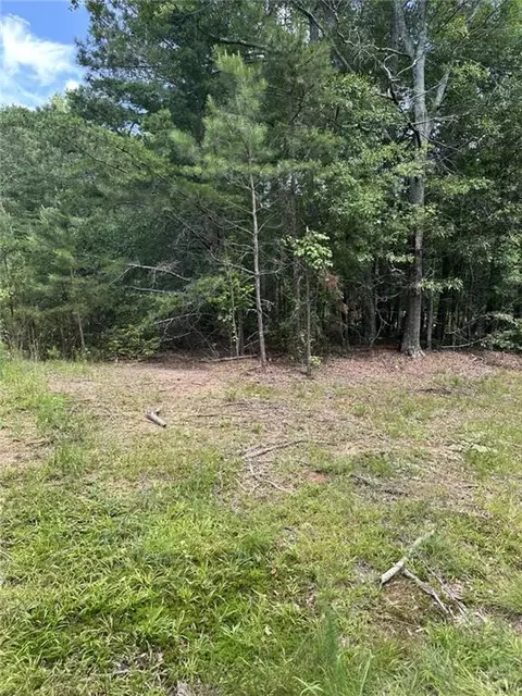 4583 Bennett Rd, Buford, GA 30519 photo 6
