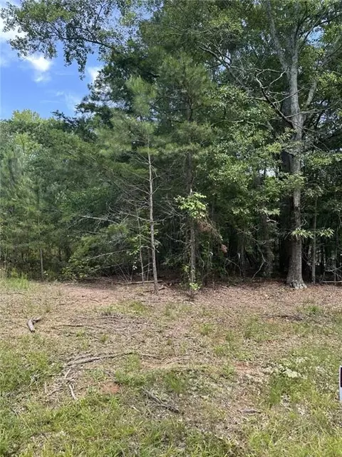 4583 Bennett Rd, Buford, GA 30519 photo 3
