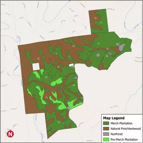 0 Big Ridge Rd, Talking Rock, GA 30175 photo 17