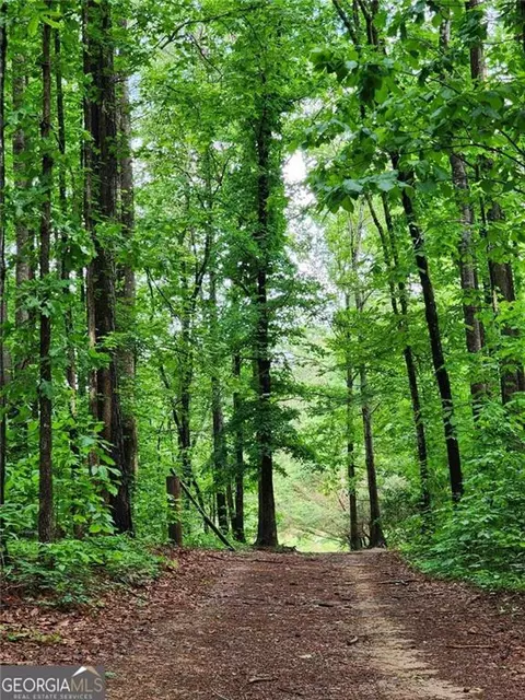 2760 Kesler, Carnesville, GA 30521