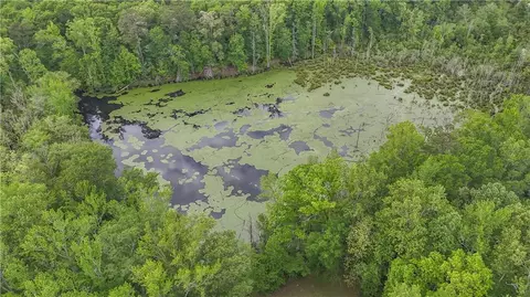 View/Area - 14501 Woolsey Rd, Hampton, GA 30228 photo 8 of 8