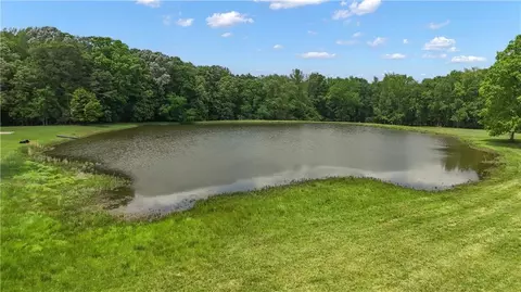 View/Area - 14501 Woolsey Rd, Hampton, GA 30228 photo 3 of 8