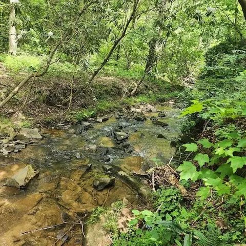 0 Woodstone Trl, Ellijay, GA 30540