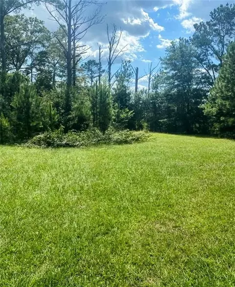 762 Aldridge Rd, Buena Vista, GA 31803