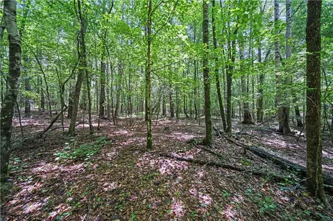 lot4 Lord Rd, Commerce, GA 30530 photo 12