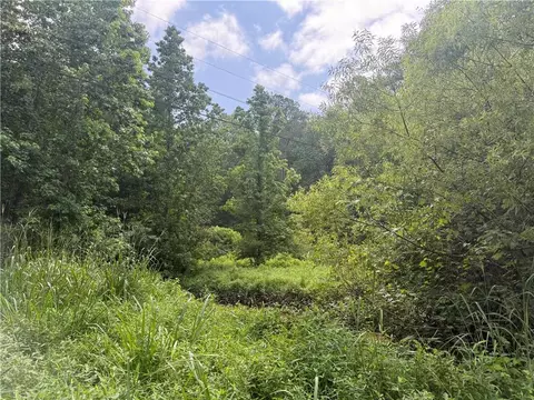 0 Turner Rd, Hampton, GA 30228 photo 2