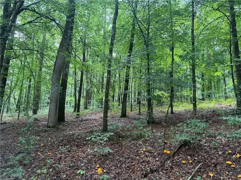 0 Turner Rd, Hampton, GA 30228 photo 7