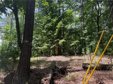0 Turner Rd, Hampton, GA 30228 photo 18