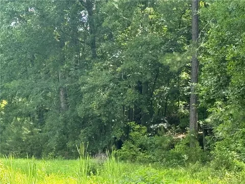 0 Turner Rd, Hampton, GA 30228 photo 6