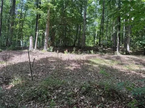 0 Turner Rd, Hampton, GA 30228 photo 22