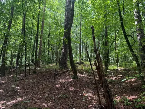 0 Turner Rd, Hampton, GA 30228 photo 3