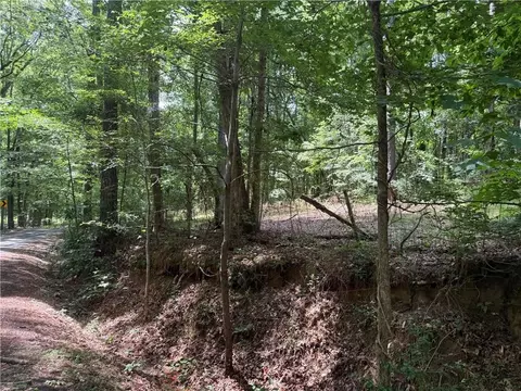 0 Turner Rd, Hampton, GA 30228 photo 23