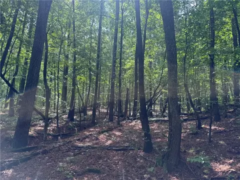 0 Turner Rd, Hampton, GA 30228 photo 4