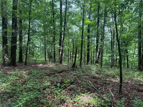 0 Turner Rd, Hampton, GA 30228 photo 14