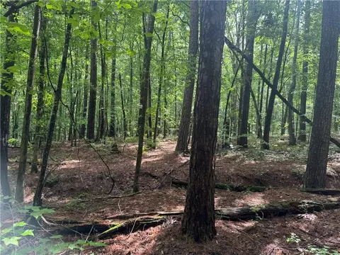 0 Turner Rd, Hampton, GA 30228 photo 5