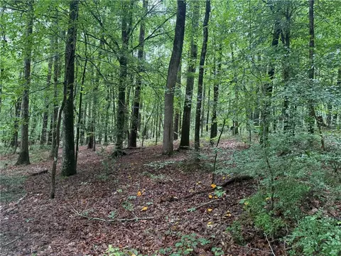 0 Turner Rd, Hampton, GA 30228 photo 9