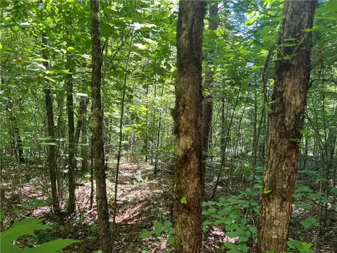 0 Fortner Rd, Ball Ground, GA 30107