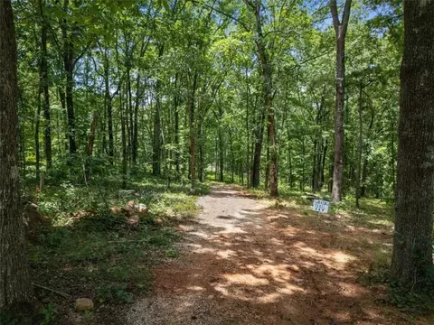 7662 Berea Rd, Winston, GA 30187 photo 6