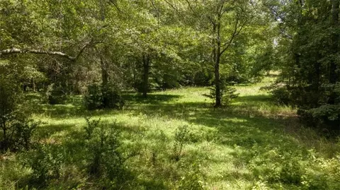 0 Old Hunter Road Tract 3, Statham, GA 30666 photo 11