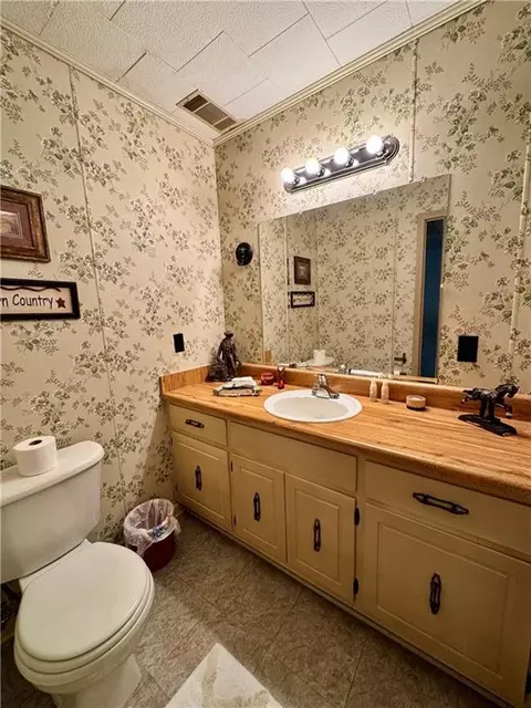 Bath - 164 Cornelison Rd SE, Rydal, GA 30171 photo 4 of 5