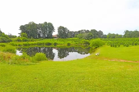 View/Area - 471 Mcbrayer Rd, Buchanan, GA 30113 photo 1 of 2