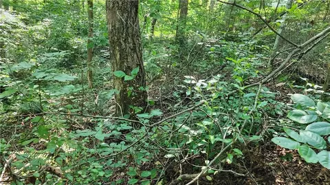 0 Imperial Dr, Cumming, GA 30041
