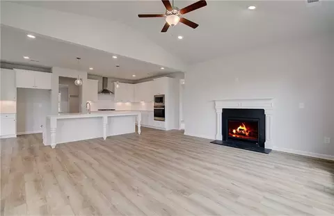 185 Haverling Pass, Hampton, GA 30228 photo 19