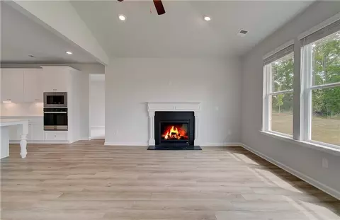 185 Haverling Pass, Hampton, GA 30228 photo 18