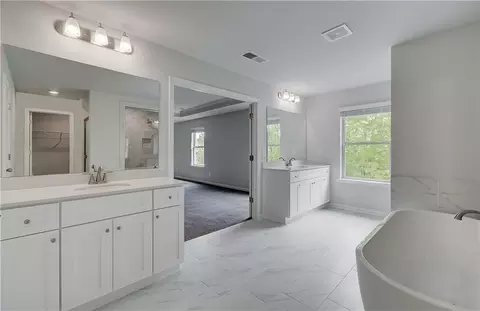 Bath - 197 Haverling Pass, Hampton, GA 30228 photo 2 of 4