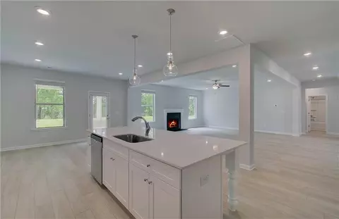 Other - 197 Haverling Pass, Hampton, GA 30228 photo 4 of 7
