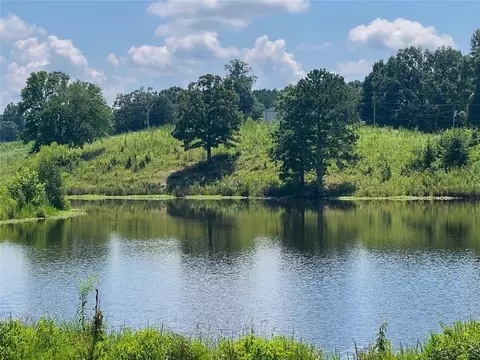 View/Area - 548 Knight Bottom Rd, Fairmount, GA 30139 photo 2 of 8