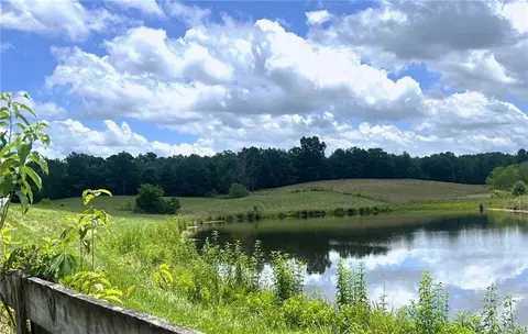 View/Area - 548 Knight Bottom Rd, Fairmount, GA 30139 photo 1 of 8