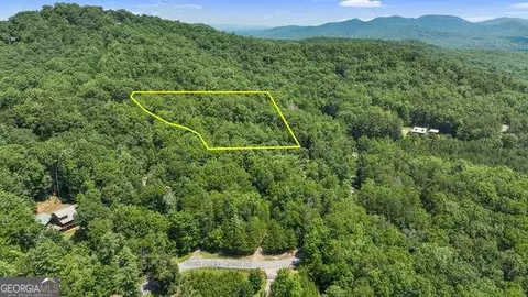 lot1 High Knee Rd, Cherry Log, GA 30522