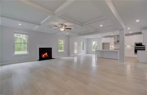 Living - 205 Haverling Pass, Hampton, GA 30228 photo 5 of 7
