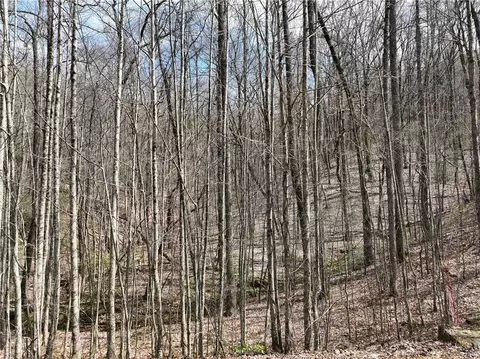 64 St Andrews Way, Ellijay, GA 30536