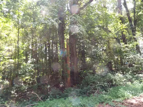 0 Swan Lake Rd-lot 4 E, Stockbridge, GA 30281