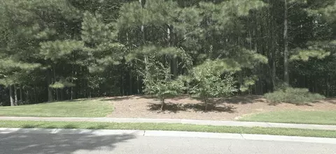 815 Waterford Estates Mnr, Canton, GA 30115