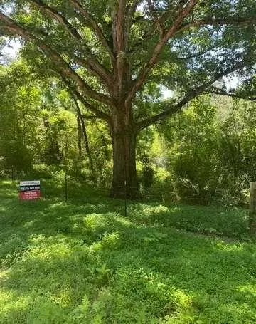 O Porter Springs Road, Dahlonega, GA 30533