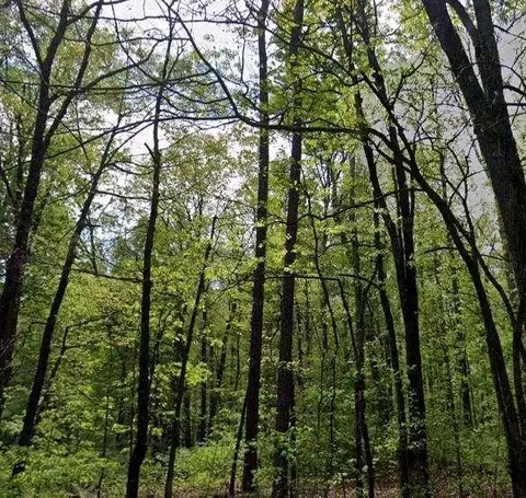 0 Carson Wages Rd, Winder, GA 30680