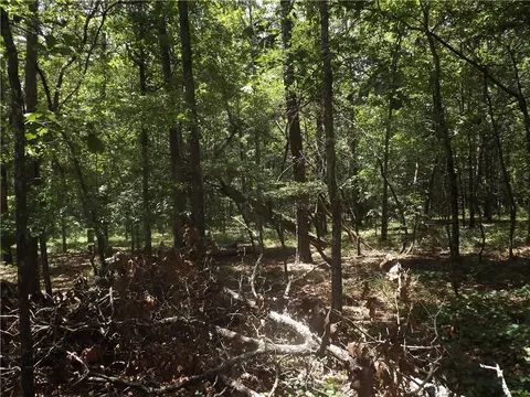 0 George Rd, Cave Spring, GA 30124 photo 20