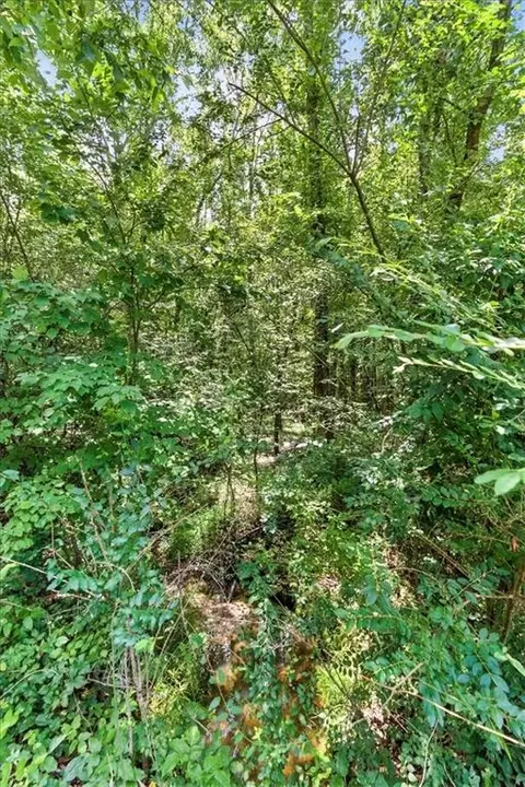 0 George Rd, Cave Spring, GA 30124 photo 7