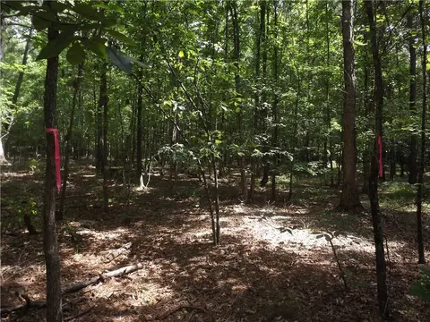 0 George Rd, Cave Spring, GA 30124 photo 22