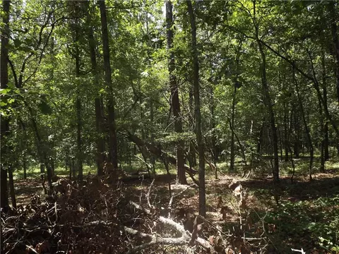 0 George Rd, Cave Spring, GA 30124 photo 19