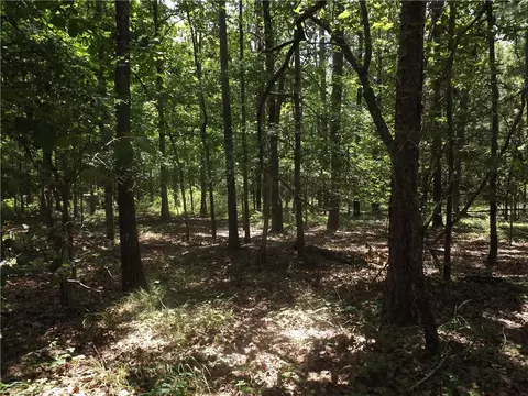 0 George Rd, Cave Spring, GA 30124 photo 18