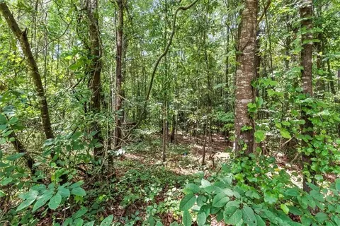 0 George Rd, Cave Spring, GA 30124 photo 6
