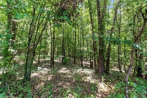 0 George Rd, Cave Spring, GA 30124 photo 5