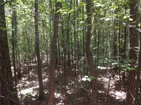 0 George Rd, Cave Spring, GA 30124 photo 21