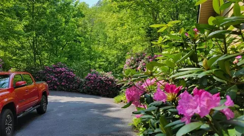 67 Harmony Trce, Rabun Gap, GA 30568 photo 37